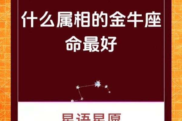 金牛座2023运势完整版事业财运爱情全年详解 金牛座2023运势完整版事业财运爱情全年详解