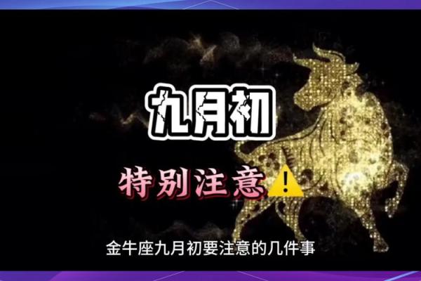 金牛座今日运势解析财运与感情双丰收