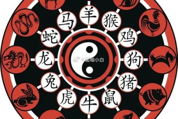 鼠金牛座2025年运势_鼠金牛座2025年运势及运程