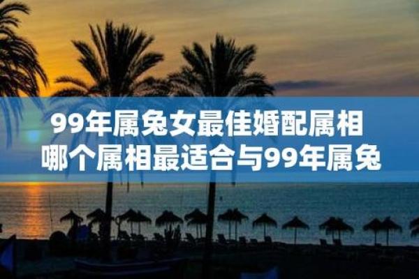 属兔的今年结婚吉日(属兔今年结婚几月份好) 属兔的今年结婚吉日(属兔今年结婚几月份好)