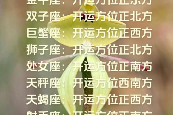 星座今日运势星座第一网_星座座今日运势最准