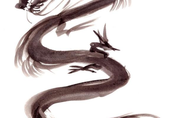 64年的龙五行属什么 64年的龙五行属什么