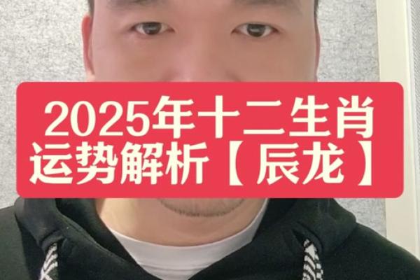 属龙2025年的运势_属龙2025年的运势及运程每月运气如何 属龙2025年的运势_属龙2025年的运势及运程每月运气如何