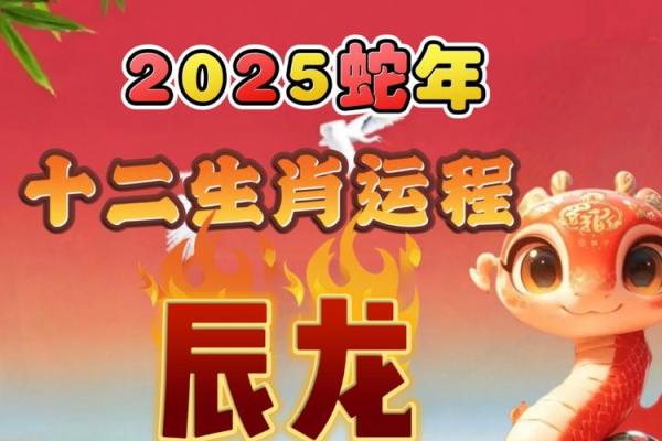 76年2025属龙人的运势 2025年属龙人全年运势详解76年出生者逐月运程指南