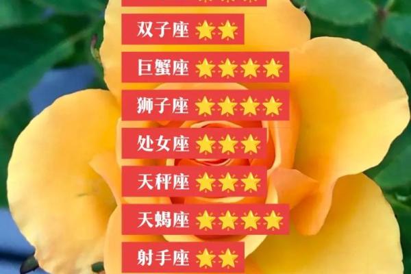 2025年3月27日今日星座运势双子座