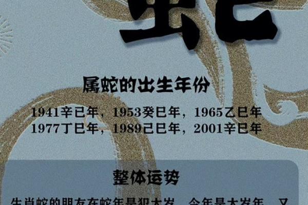 属蛇的最佳配偶 1977年属蛇的最佳配偶 属蛇的最佳配偶 1977年属蛇的最佳配偶