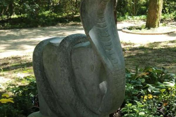 土里土气指什么生肖(土里土气什么生肖最好)