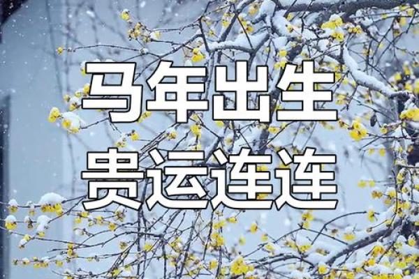 1978年属马人2025年运势解析全年运程大揭秘 1978年属马人2025年运势解析全年运程大揭秘