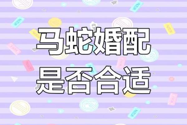 2001年属马的最佳婚配_属马最佳婚配 2001年属马的最佳婚配_属马最佳婚配