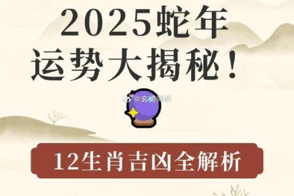 1990年属马人2025蛇年运势详解全年运程吉凶预测 1990年属马人2025蛇年运势详解全年运程吉凶预测