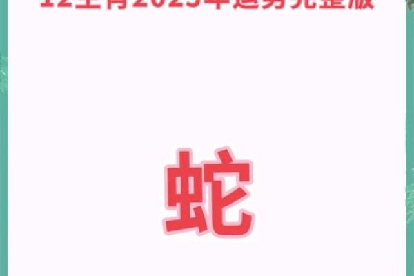 2025年属蛇人全年运势详解每月运程精准预测