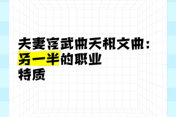 夫妻宫文曲化忌_夫妻宫文曲化忌会伤心