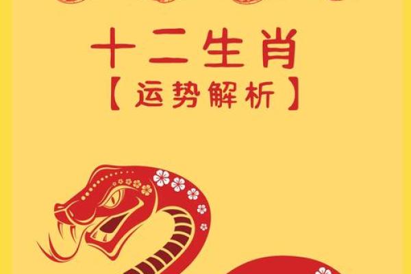 2025属龙的今年多大 属蛇的2025年几岁
