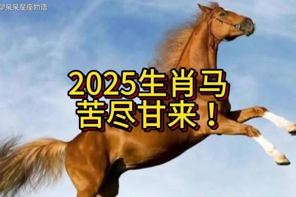 六六年出生属马的今年多大了_66属马2025必有一难 六六年出生属马的今年多大了_66属马2025必有一难
