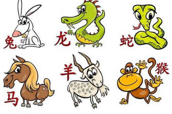 父母属马孩子属鼠 父母属马孩子属鼠怎么化解 父母属马孩子属鼠 父母属马孩子属鼠怎么化解