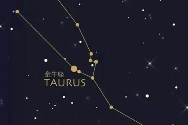 2024年金牛座健康运势解析全年健康指南 2024年金牛座健康运势解析全年健康指南