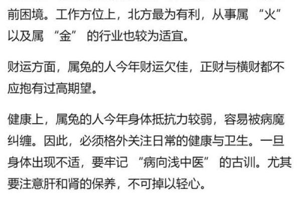 2025年属兔是什么命_2025年属兔命运解析运势财运与事业全揭秘 2025年属兔是什么命_2025年属兔命运解析运势财运与事业全揭秘