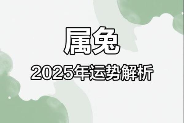 2025年属兔的幸运颜色衣服_2025属兔大忌颜色 2025年属兔的幸运颜色衣服_2025属兔大忌颜色