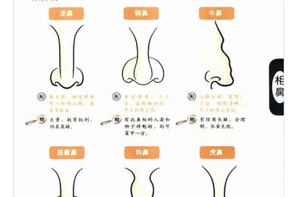 大耗在财帛宫财运波动的关键因素解析 大耗在财帛宫财运波动的关键因素解析