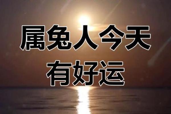 属兔2024年的运势及运程每月运气_2024年属兔每月运势详解全年运程大揭秘 属兔2024年的运势及运程每月运气_2024年属兔每月运势详解全年运程大揭秘