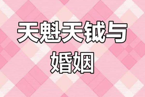 夫妻宫天魁 夫妻宫天魁旺 夫妻宫天魁 夫妻宫天魁旺
