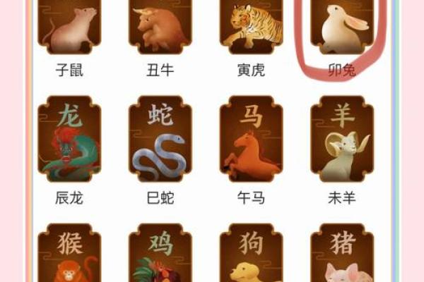 1988年2月1日属龙还是属兔_1988年二月一号什么属相