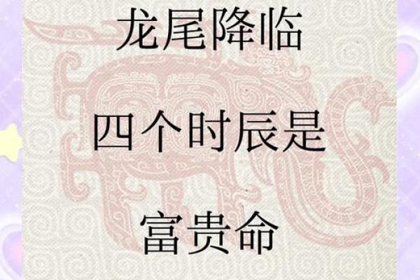 00年龙2025年运势及运程_2025年属龙的命运