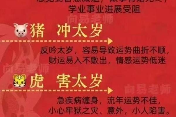 福德宫化忌是什么意思_福徳宫化忌