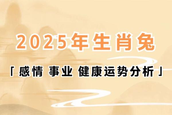 2025年87年属兔人运势解析财运事业感情全揭秘