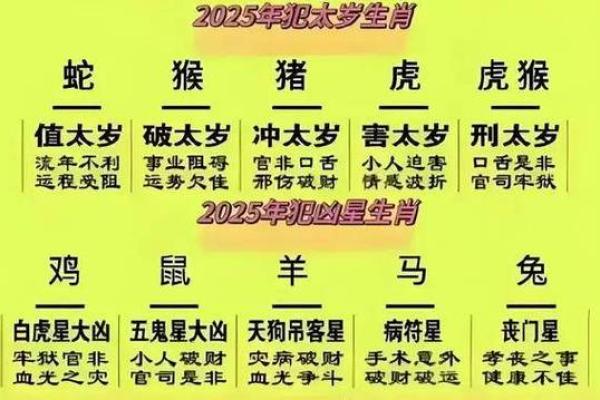 2025蛇年属龙运势详解农历各月运程全指南 2025蛇年属龙运势详解农历各月运程全指南