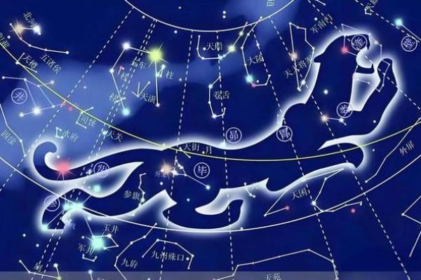 白虎在父母宫命理解析与家庭关系影响