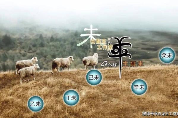 属羊人2025年背叛家庭 1979属羊46岁以后运气 属羊人2025年背叛家庭 1979属羊46岁以后运气