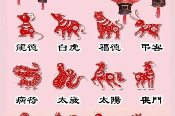 2025年羊肖运势详解财运事业爱情全面解析 2025年羊肖运势详解财运事业爱情全面解析