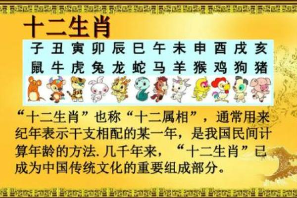 1977年元月5日生肖解密龙蛇属相之谜 1977年元月5日生肖解密龙蛇属相之谜