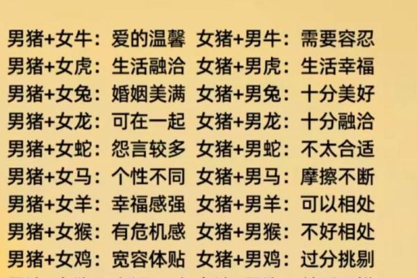 属猪和属猴的婚姻相配吗 属猪和属猴的婚姻相配吗生肖配对解析 属猪和属猴的婚姻相配吗 属猪和属猴的婚姻相配吗生肖配对解析
