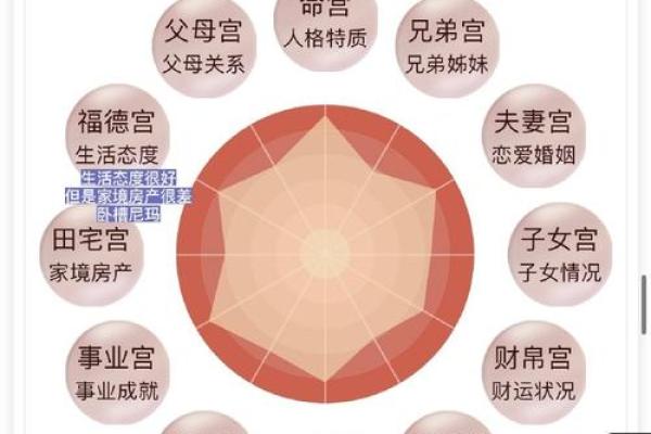 夫妻两人子女宫不一样 夫妻子女宫差异解析命运为何不同 夫妻两人子女宫不一样 夫妻子女宫差异解析命运为何不同