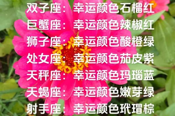 白羊座的幸运数是什么