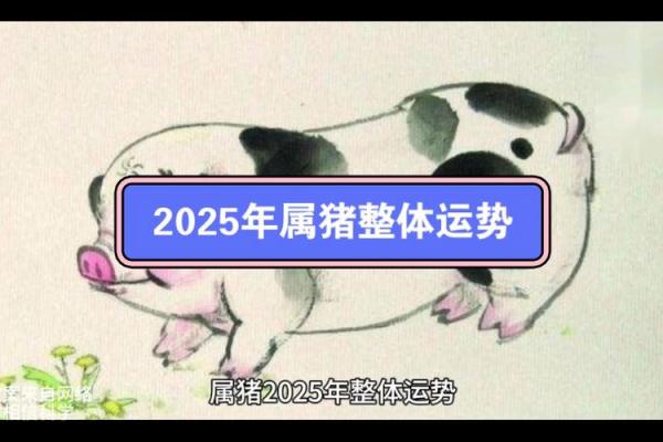 1983年属猪2025全年运势 1983属猪2025全年运势运程 1983年属猪2025全年运势 1983属猪2025全年运势运程