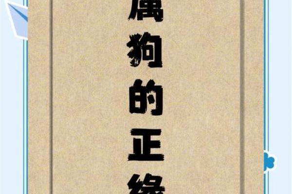 1970年属狗五行属性解析命运与性格全揭秘
