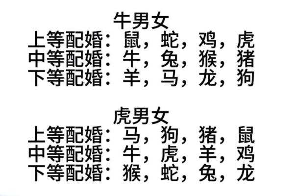 属狗的贵人是什么属相_属狗的贵人是什么属相揭秘最佳生肖配对 属狗的贵人是什么属相_属狗的贵人是什么属相揭秘最佳生肖配对