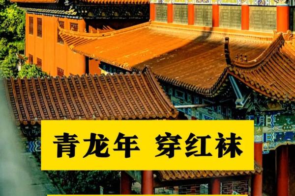 00后属龙的今年多大了_00后属龙的今年多大了是25吗 00后属龙的今年多大了_00后属龙的今年多大了是25吗