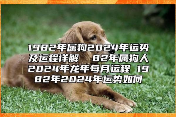 1982狗是什么命 五行属什么 1982年属狗五行属什么命运解析与运势预测 1982狗是什么命 五行属什么 1982年属狗五行属什么命运解析与运势预测