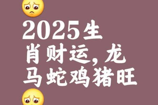 属龙2025年全年运势及运程详解_2025属龙要小心一个人