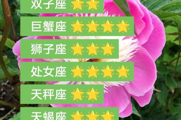 2025年4月6日今日白羊座星座运势(2025年4月6日今日白羊座星座运势查询) 2025年4月6日今日白羊座星座运势(2025年4月6日今日白羊座星座运势查询)