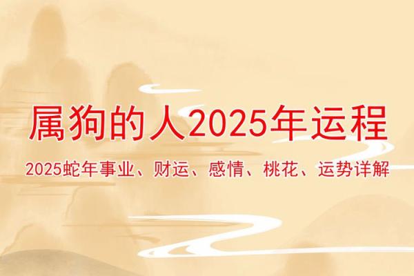 2025生肖狗运势 属狗2025年每月运势及运程 2025生肖狗运势 属狗2025年每月运势及运程
