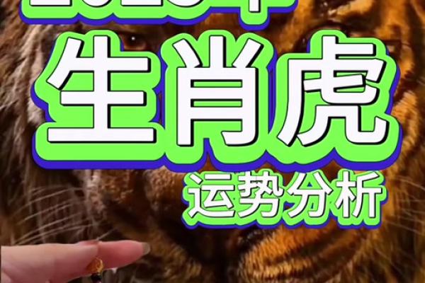 2025年1982年属狗男运势 1982年属狗2025年运势及运程