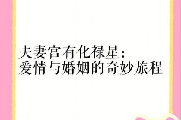 夫妻宫化禄入子女宫 夫妻宫化禄入子女宫什么意思