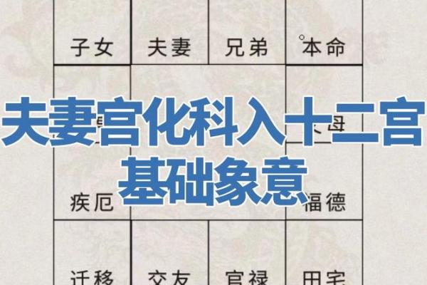 夫妻宫天同化科_夫妻宫天同化科男命