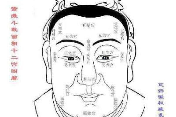 夫妻宫破相的男人命运解析与情感指南 夫妻宫破相的男人命运解析与情感指南
