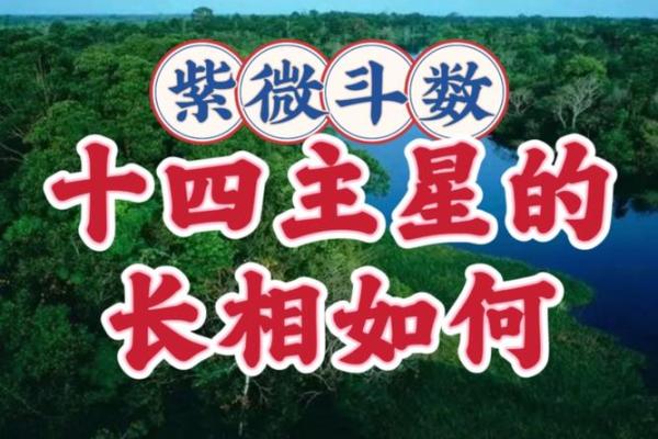 陈小飞紫微斗数_陈小飞紫微斗数课程原价多少钱